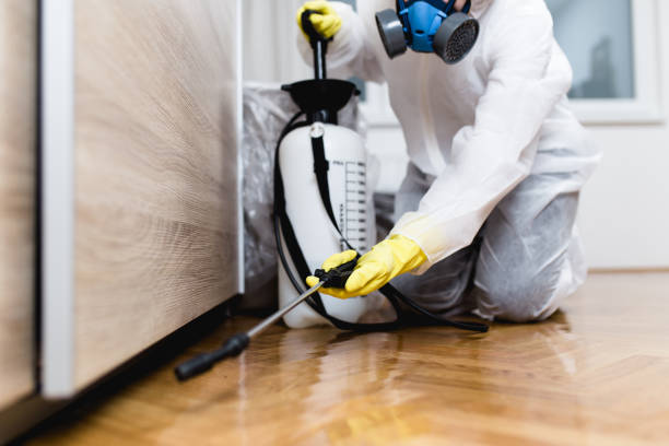 Best Affordable Pest Control Services  in Troy, IL