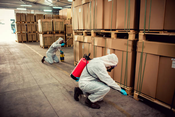 Best Ant Control Services  in Troy, IL