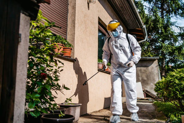 Best Mosquito Control Services  in Troy, IL