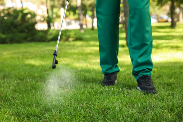 Best Flea Control Services  in Troy, IL
