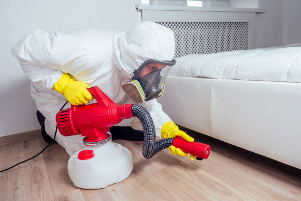 Trusted Troy, IL Pest Control Experts