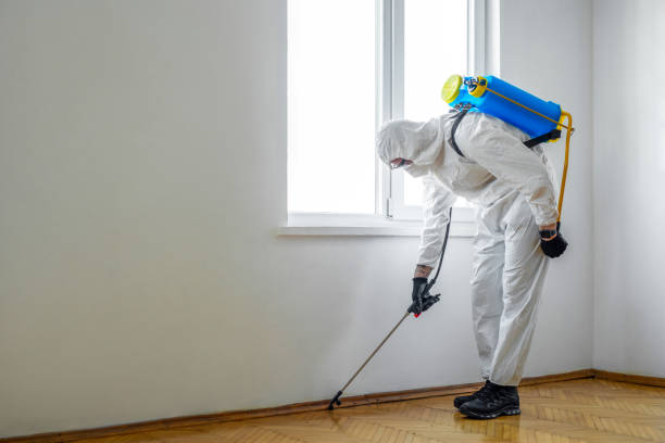 Best Residential Pest Control  in Troy, IL