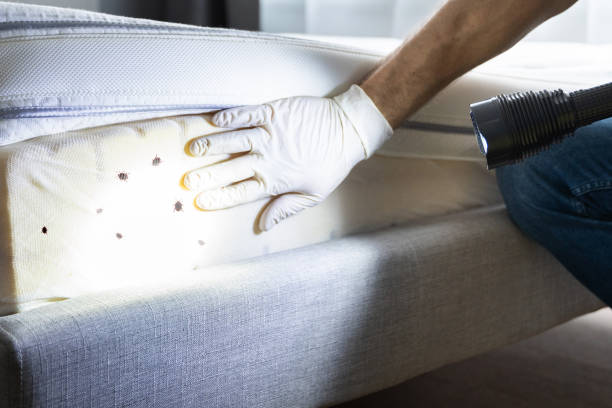 Best Best Pest Control Companies  in Troy, IL
