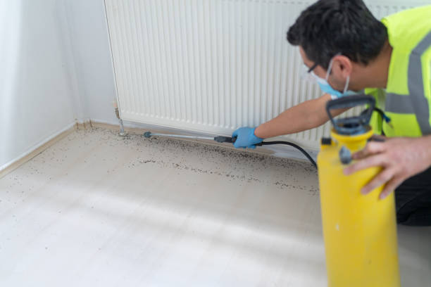 Best Cockroach Control Services  in Troy, IL