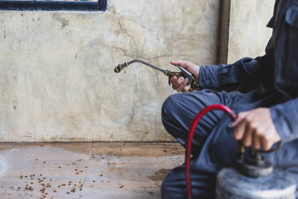 Best Pest Prevention Services  in Troy, IL
