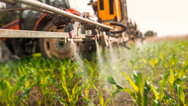 Best Pest Removal Services  in Troy, IL